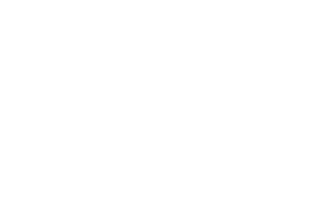 HDI Seguros